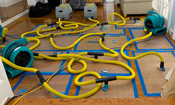 Professional Crawl Space Water Removal technician working in Mendota, MN